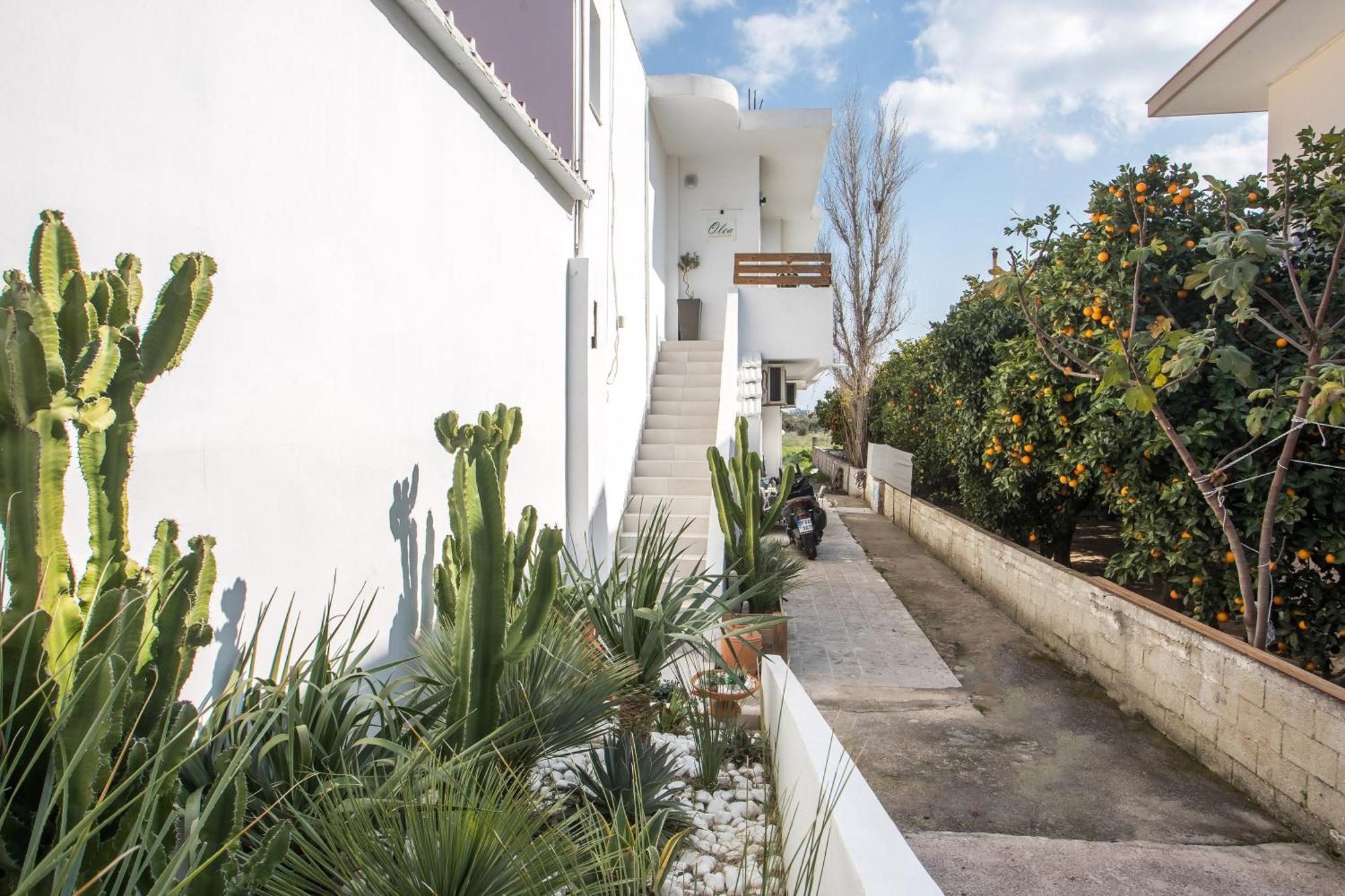 Olea Luxury Apartment Afantou Luaran gambar